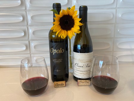 Finally, a Pair of Thanksgiving Red Wines – one each from TJs and Costco