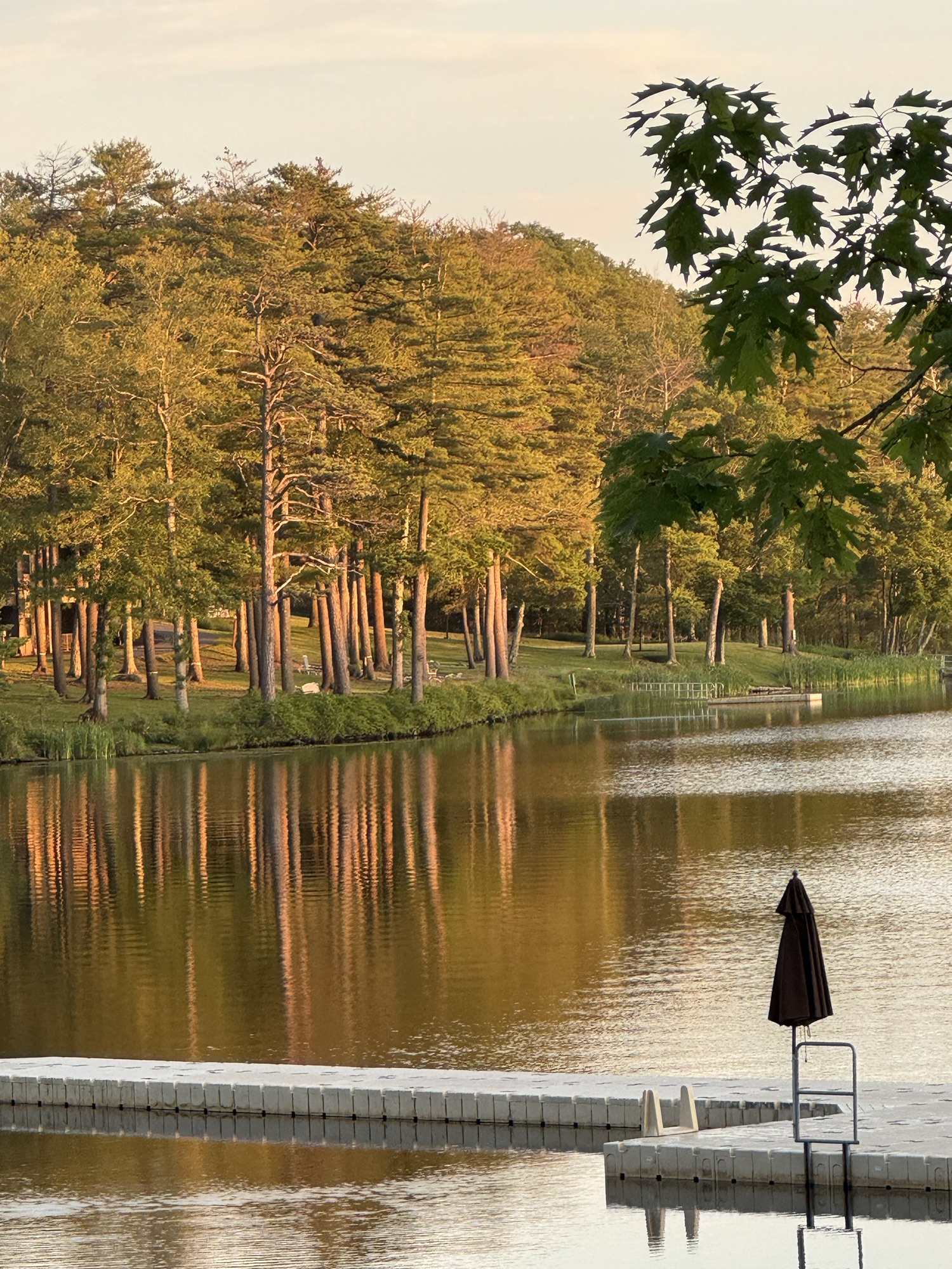 Red, White … and You